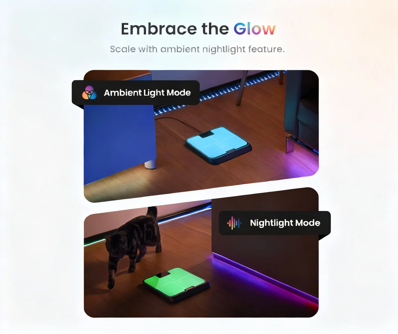 Elis Chroma Aspire Smart Scale - Image 7